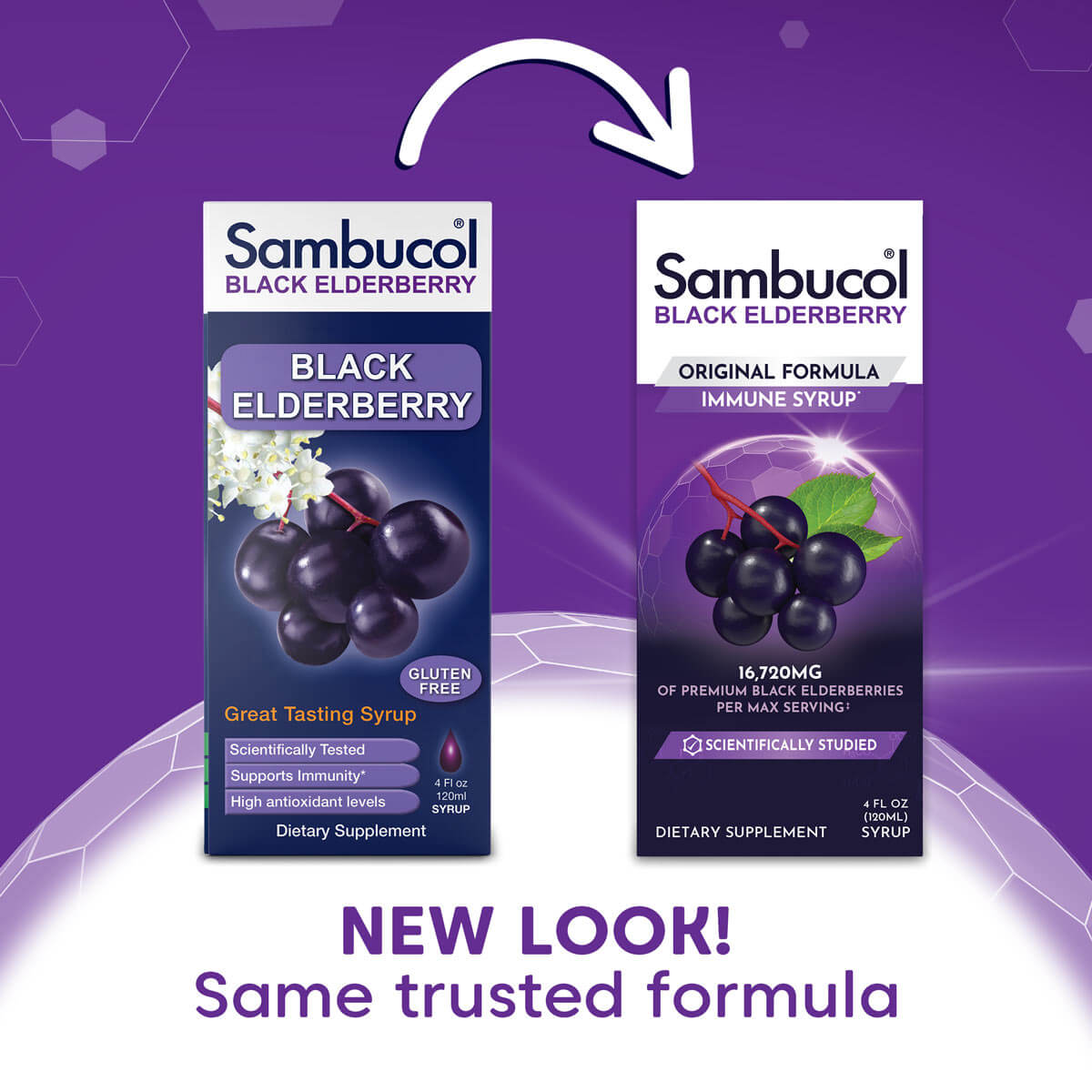 Black Elderberry Syrup - Small - 4 oz – Sambucol USA