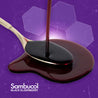 Black Elderberry Syrup Plus Vitamin C and Zinc - Advanced Immune